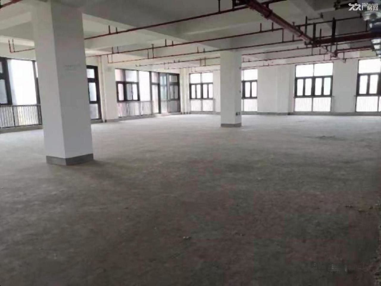 全新独栋地铁口办公楼带产业补贴可注册办公培训 展厅研发中心 - 6