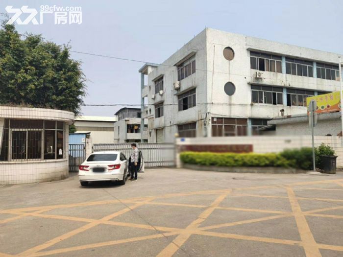 南沙东涌镇独院标准厂房,4600平,带宿舍,空地大,可办环评,租金便宜