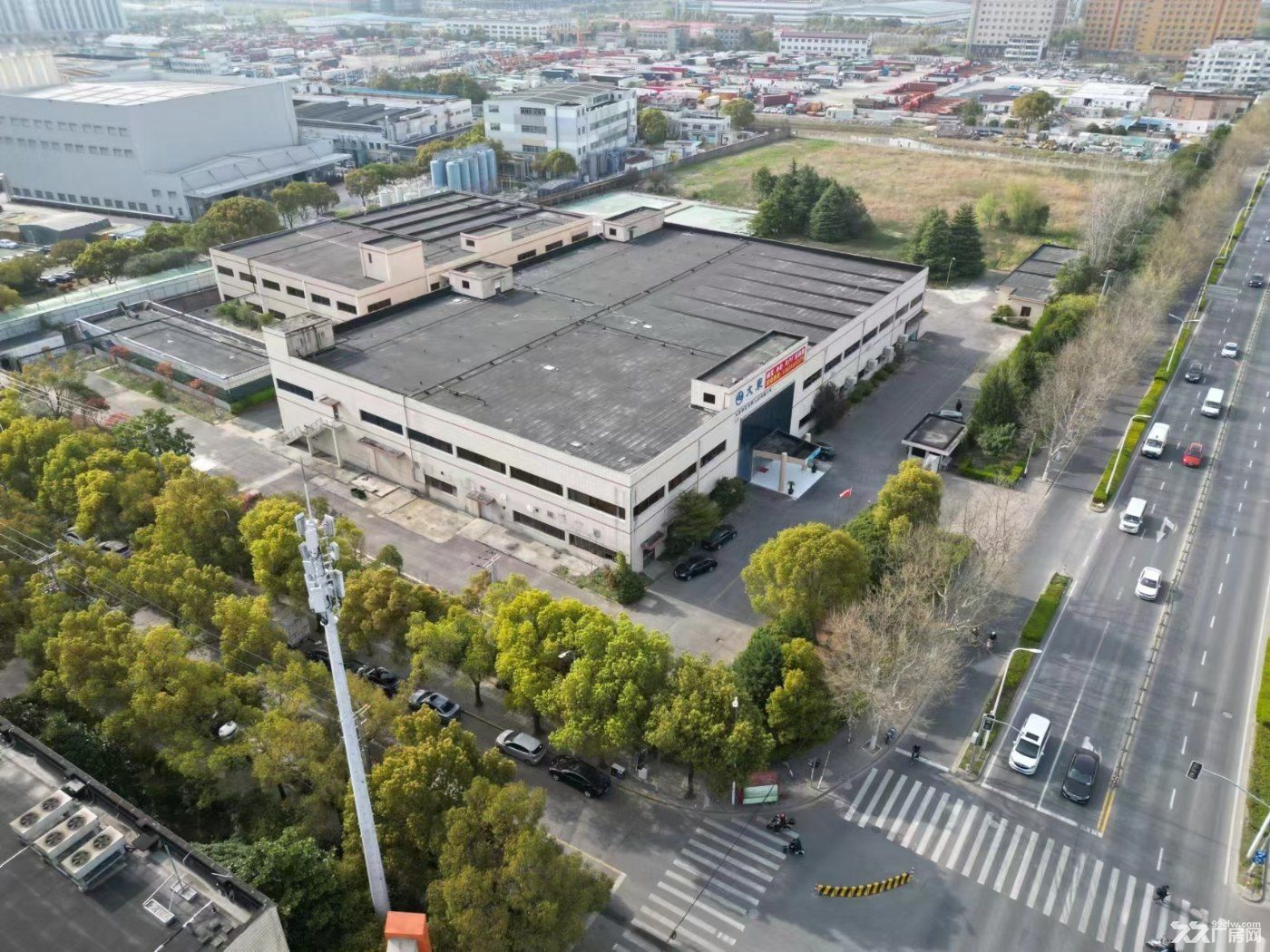 川沙路金桥南区最新笋盘12696平 - 5