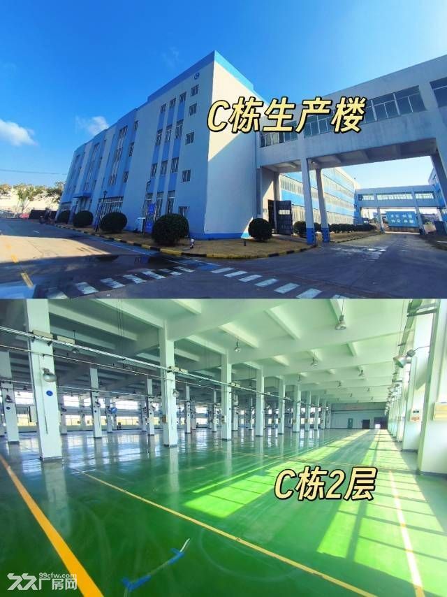 浦东川沙独门独院厂房出租 - 3