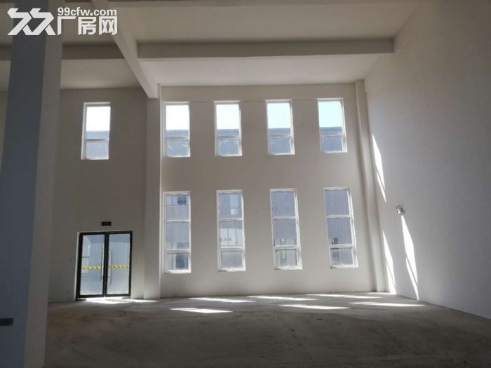 出售新津框架结构厂房，独门独院 - 8