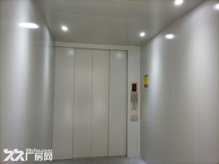奉贤金汇104板块全新食品类专业园区招商 仅余一席 - 4