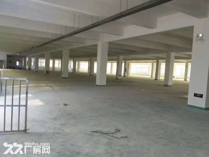 新阳工业区阳泰路1楼标准厂房1000出租