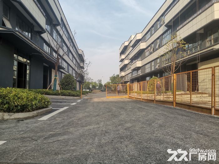 平湖2380平50年产权厂房有环评可注册开发商直售 - 4