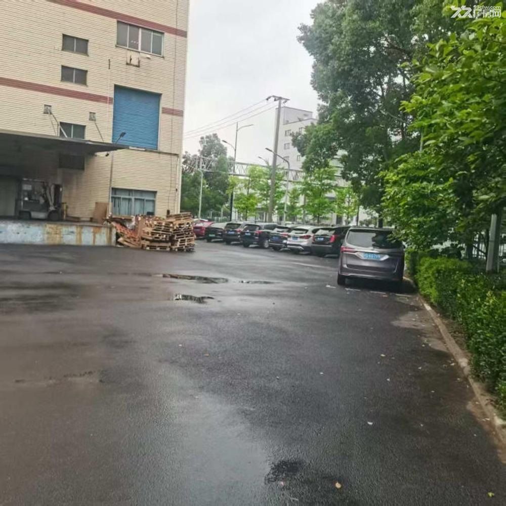 出租浦东自由贸易区外高桥片区工业厂房库房（一层起租） - 2