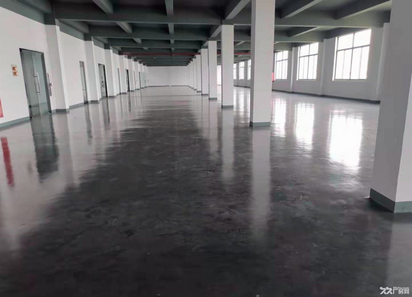 意邦附近 3000平 可分割 独院 原房东 交通便利 可食宿 - 5