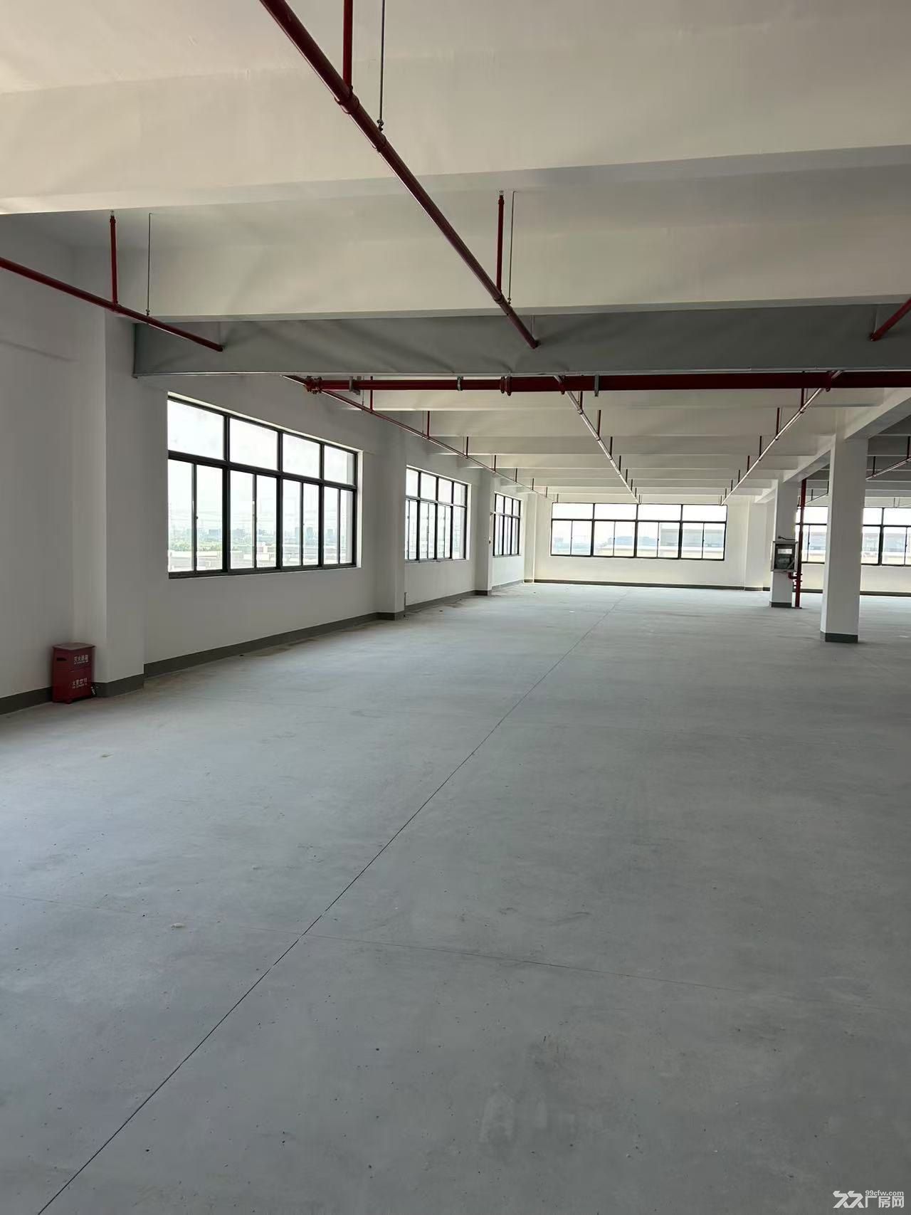 出售 独栋厂房 2000平 可环评 按揭 - 3