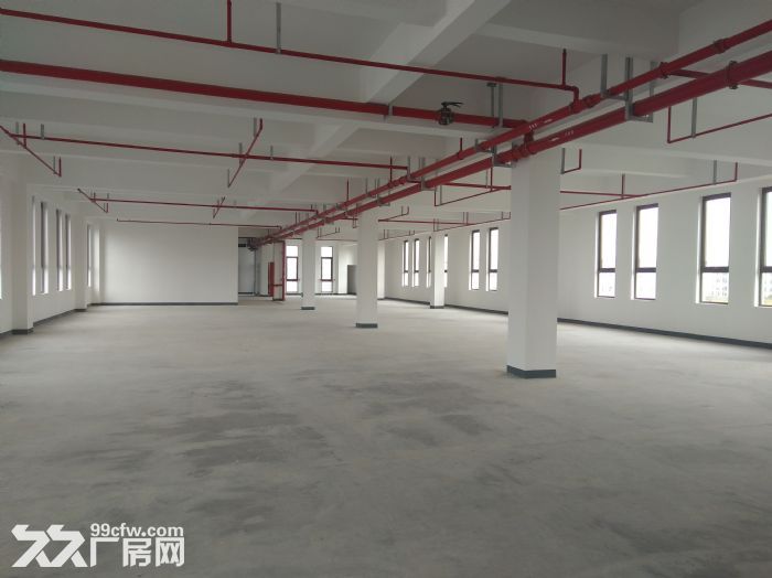 (专业选址顾问) 5000独栋研发实验厂房办公总部医疗器械自动化生物 - 5
