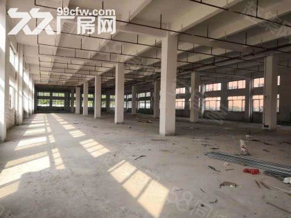 江门台山水步工业新城独院工业园厂房仓库2000平方招租 - 5