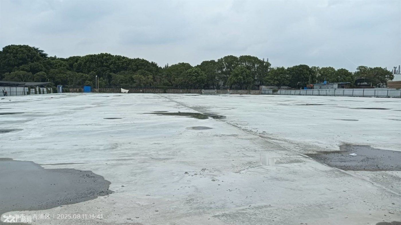 招商;场地出租 260 亩青浦,价格便宜。 - 2