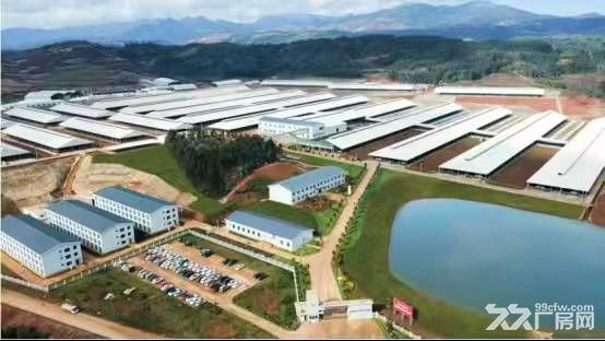 云南临沧耿马/云县、保山施甸等地多个万头牧场招租
