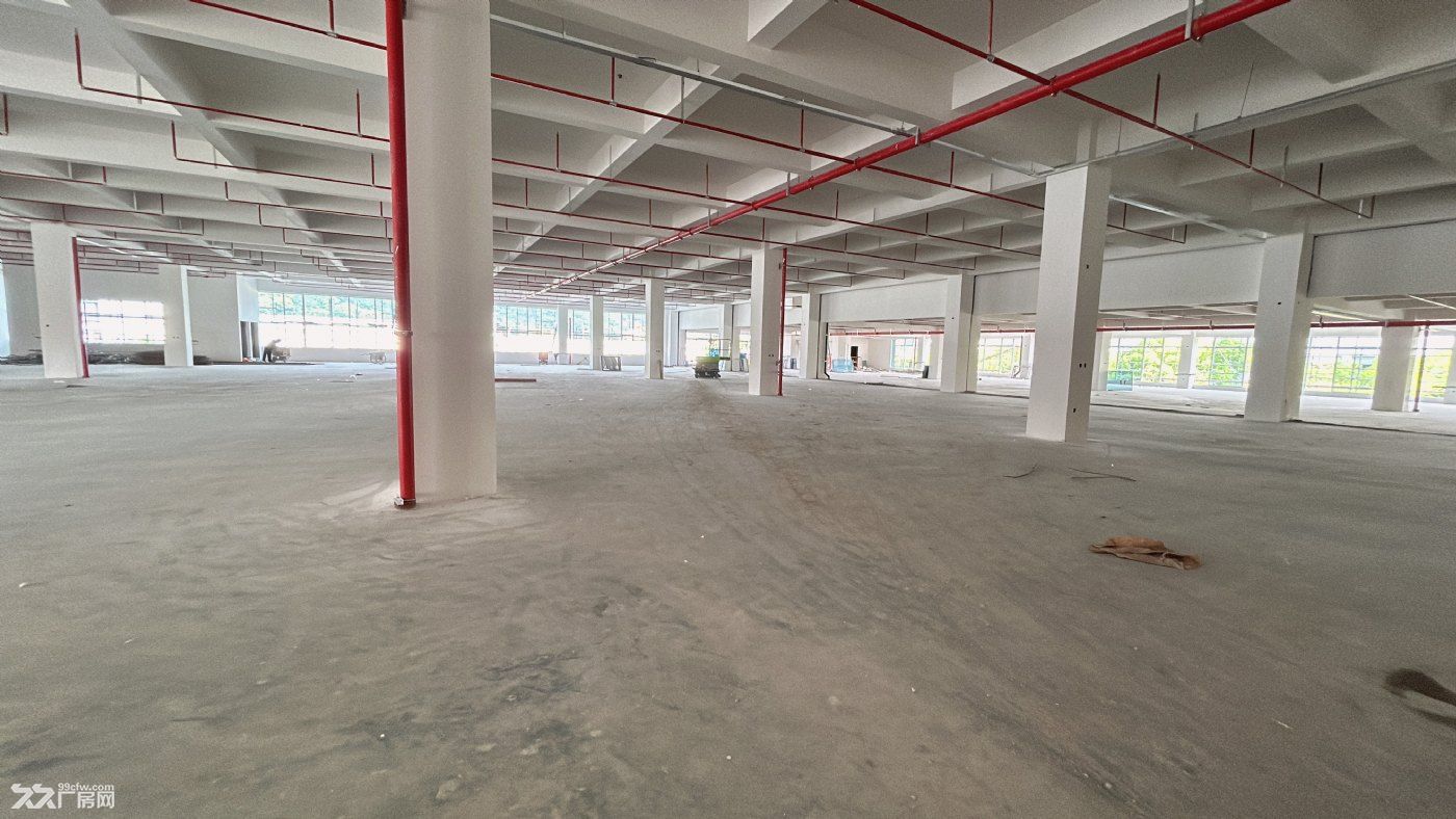 中环高架塔园路口纯一楼1000㎡高标厂房，客货梯全，交通便利 - 4