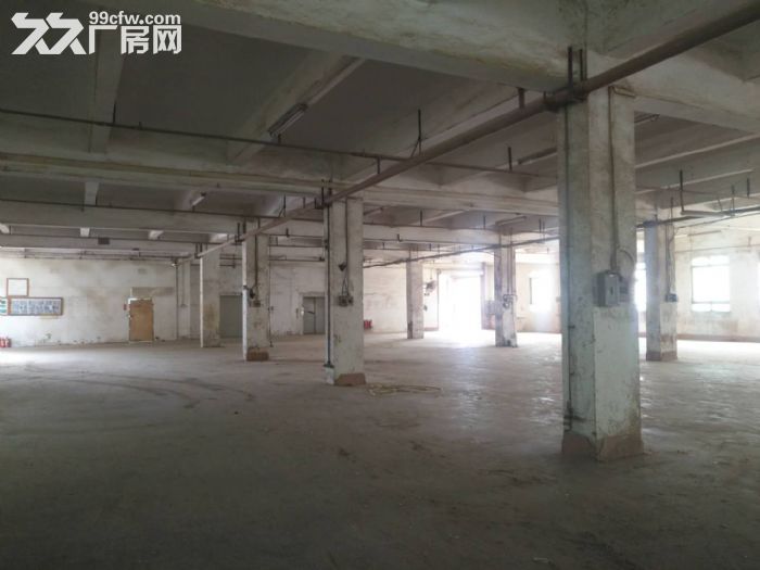 松山湖附近十年回本厂房，已见业主急卖