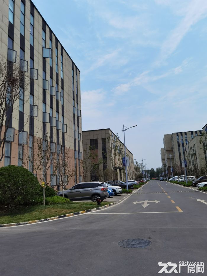 全新厂房出租 可生产 可办公 可环评 - 6