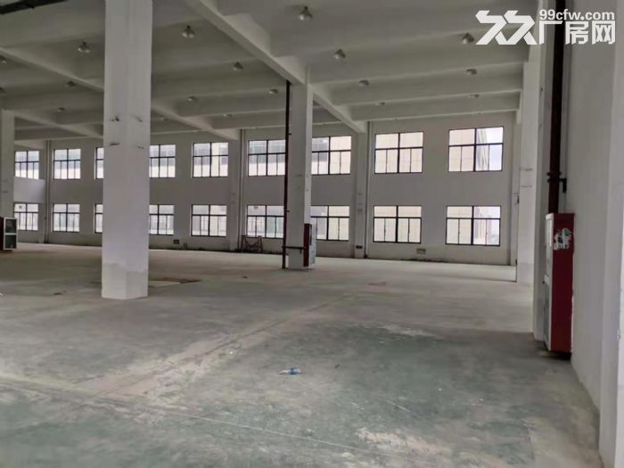 嘉兴高照街道离水果市场近的仓库出租2000平米 - 3