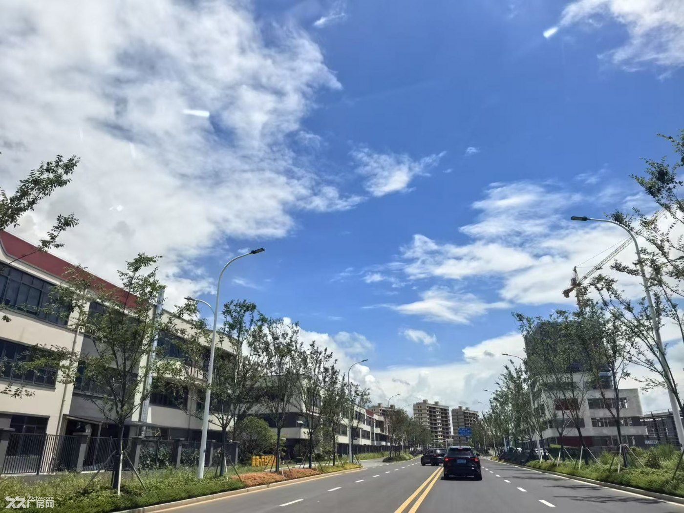 出售标准园区现房低总价框架结构式厂房可定制可办环评 - 5