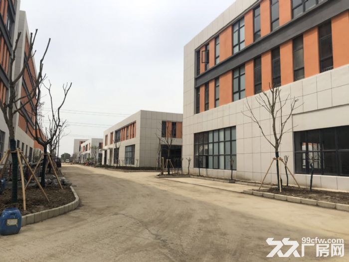 50年工业用地，办理产证，准现房！ - 3