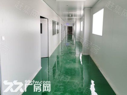 江门台山水步工业新城独院工业园厂房仓库2000平方招租 - 6