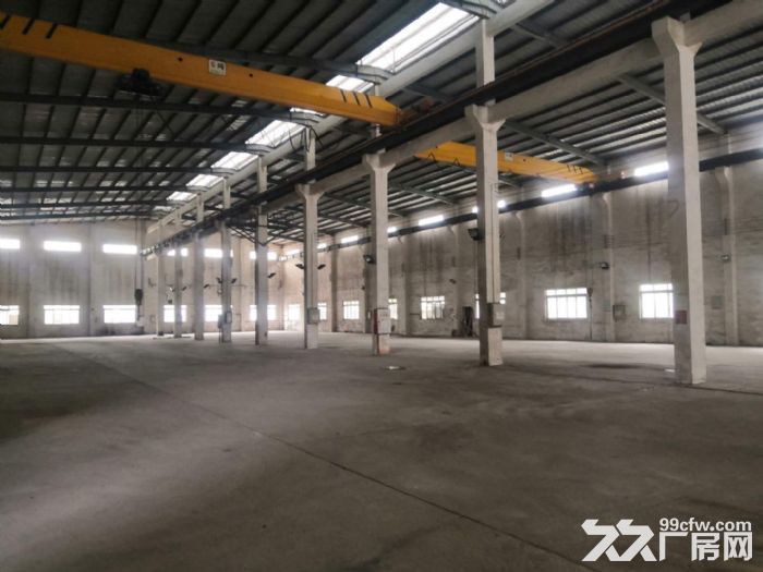 江门新会大泽工业区有排污指标环评厂房2500平方招租 - 5