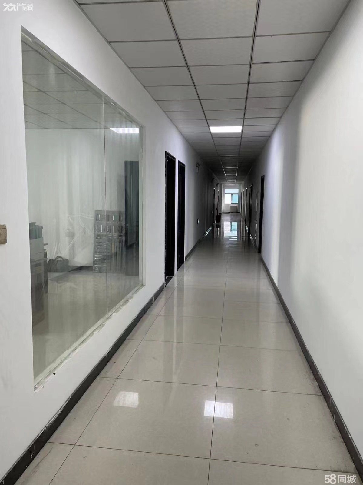 省级开发区新建厂房便宜出租 可分组 - 5