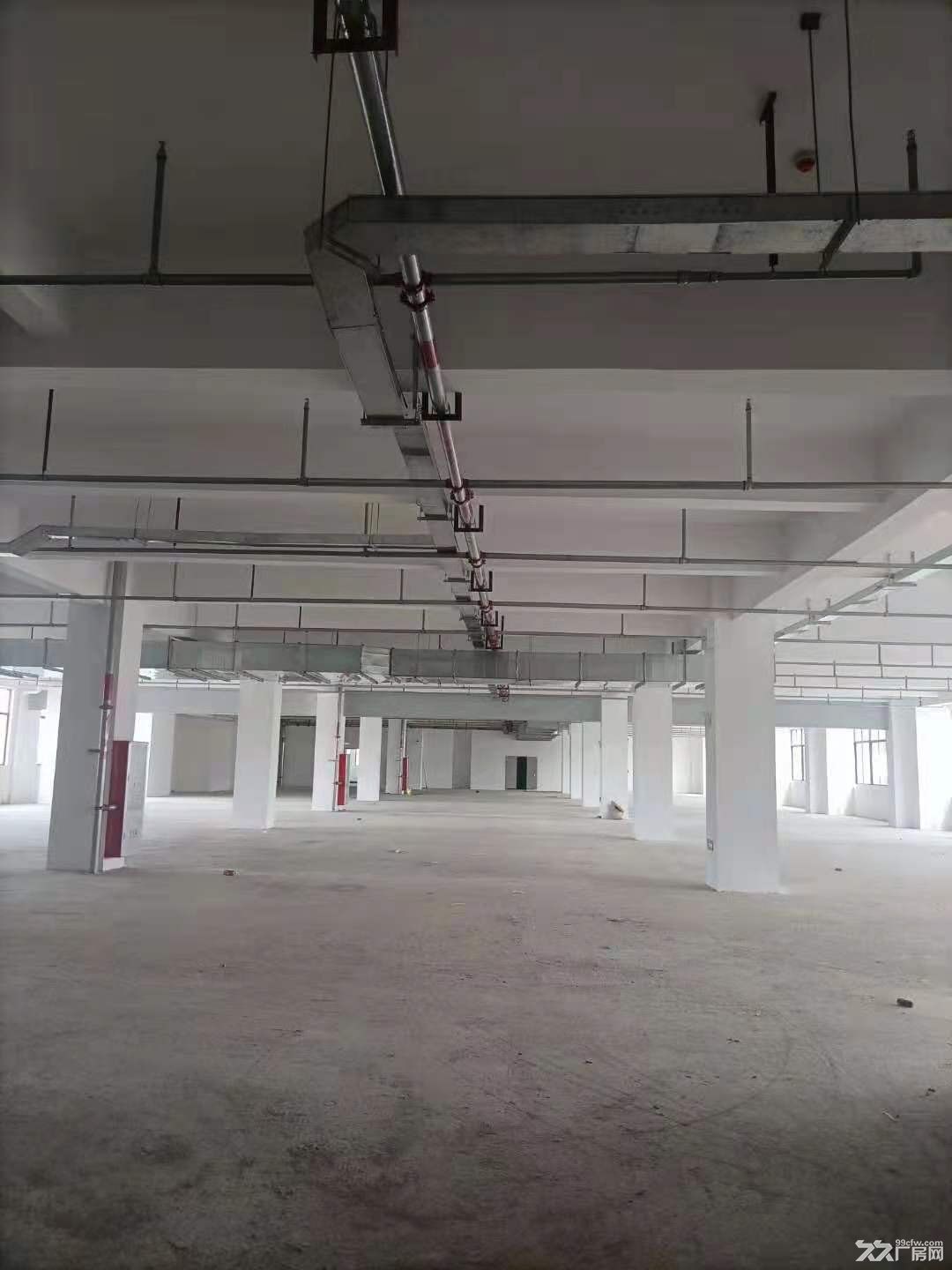 惠城区小金口独院 厂房出租 - 3