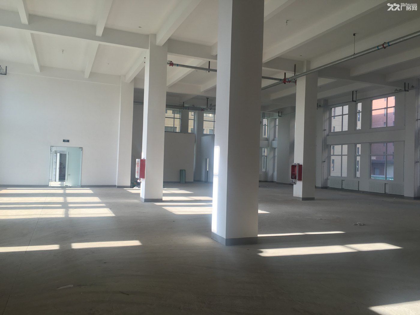 标准框架厂房,生产研发组装加工实验室均可 - 6