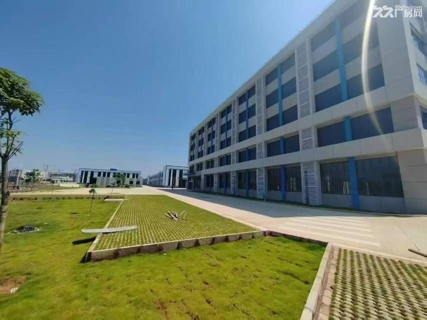 15米高重工业园区10万方出租，可分栋出租，有行规 - 4