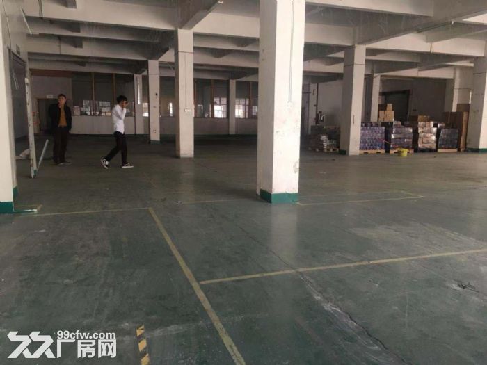 白云龙归金帕广场旁工业园区一楼厂房1450方，原房东，没公摊，实用率高 - 4
