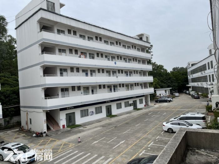 观澜地铁口周边标准厂房3000平，商业配套齐全，适合电商外贸 - 6