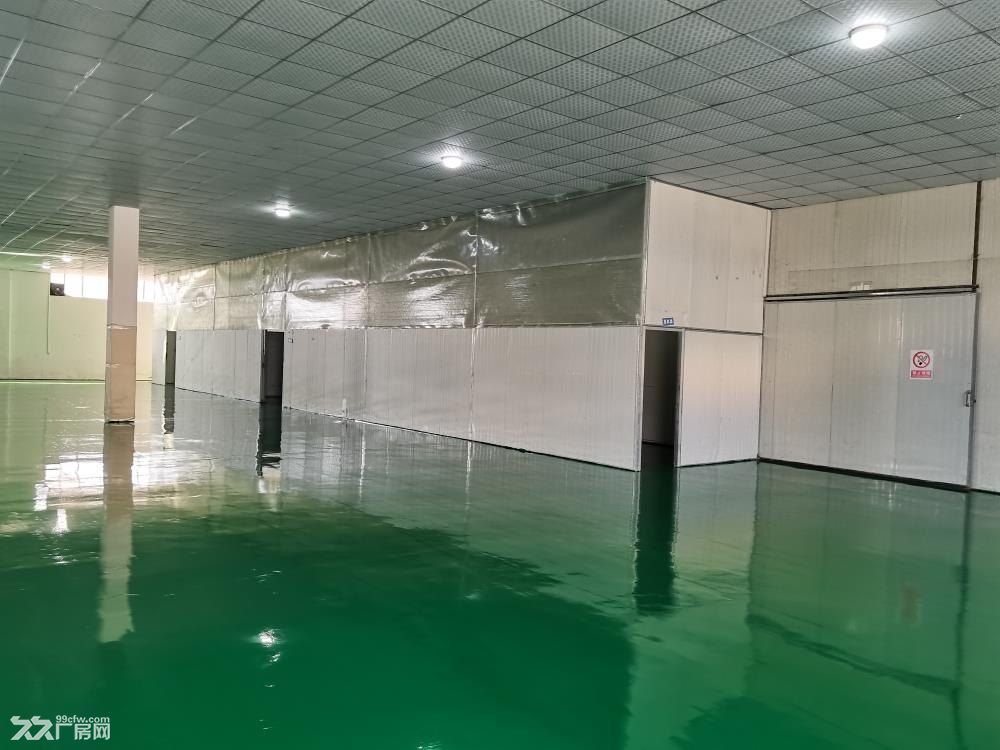 房东直租胶州胶北工业园厂房仓库(证照齐全、可环评、污水管网) - 3