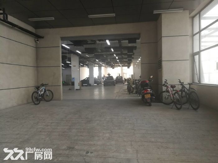 一层无地下 有物流门 可立项环评 仓储 轻加工 组装 - 4