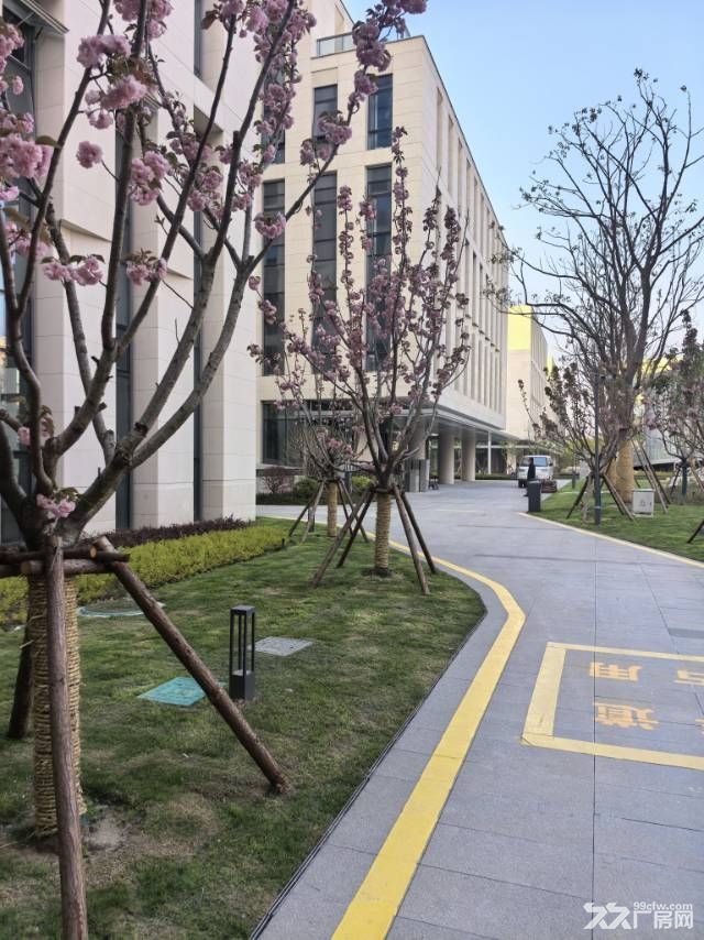 嘉兴秀洲区秀水领创园花园式办公 300平起租 企业总部优选 - 6