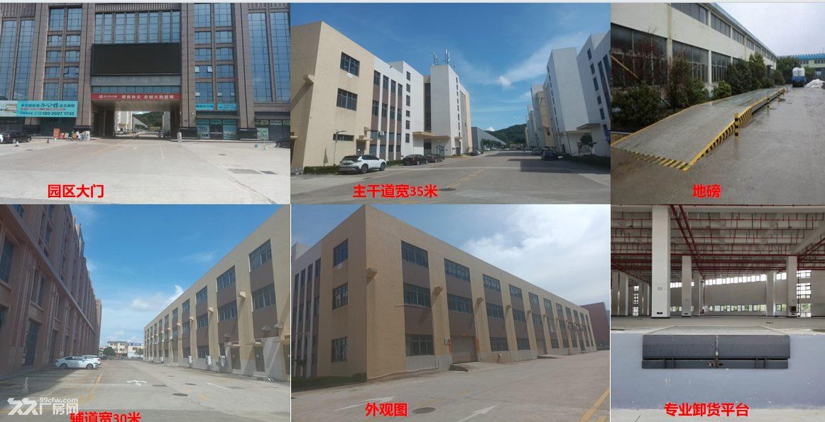 湾区国际产业园---招租----价格可以商议
