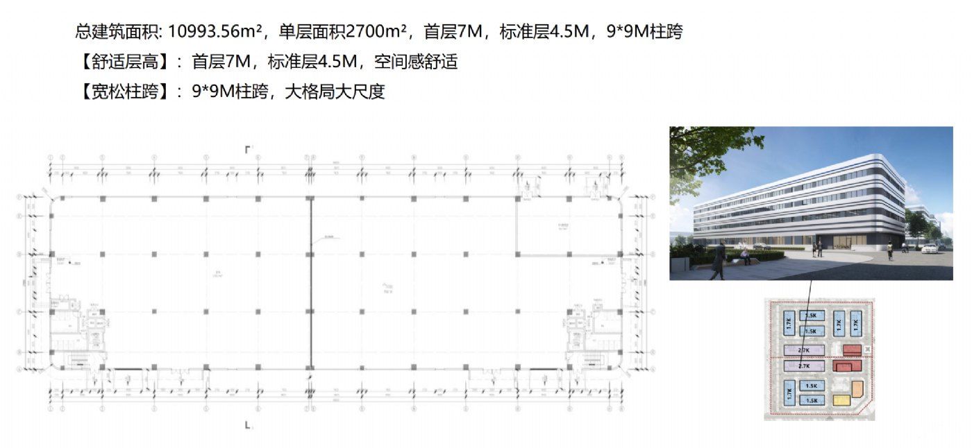 央企厂房1000-10000㎡厂房招租(超长免租期) - 5