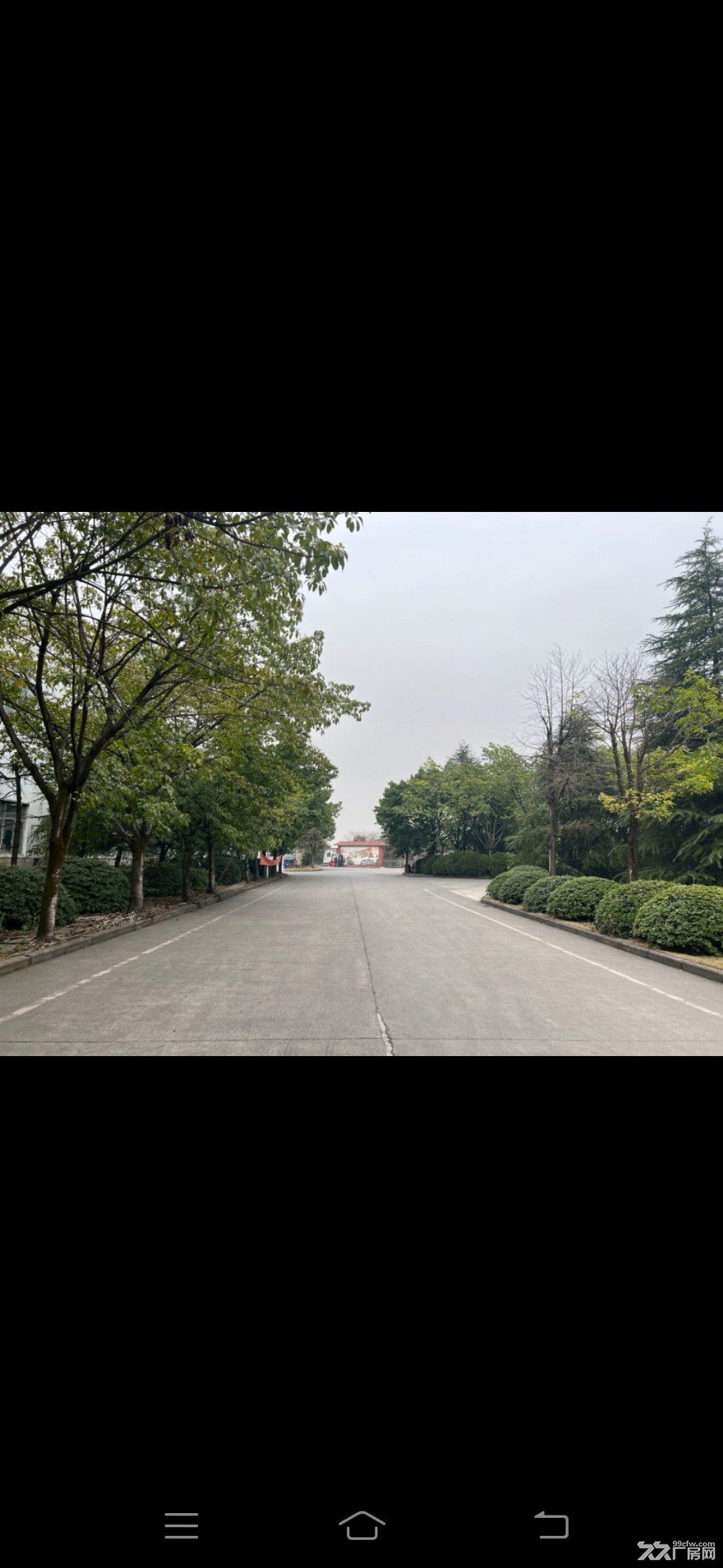 璧山青杠工业园单层厂房出租 - 2