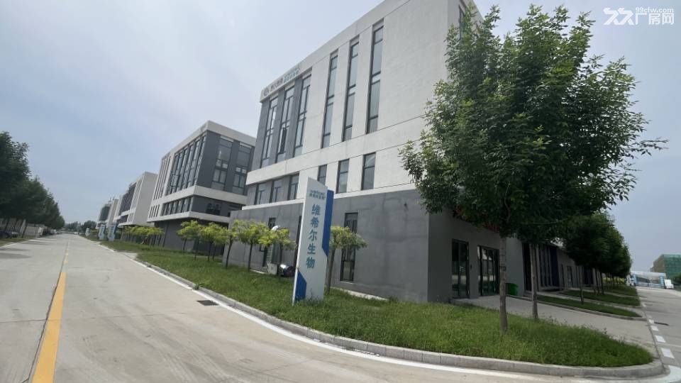 淄博生物医药企业聚集地厂房免租政策优惠配套齐全交通便利 - 8
