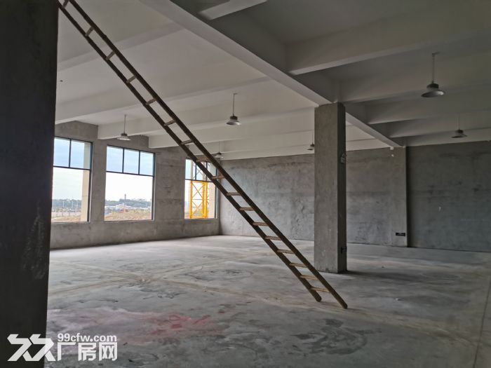 高新区2500平标准厂房出售可分割,50年产权6米层高有一楼 - 5