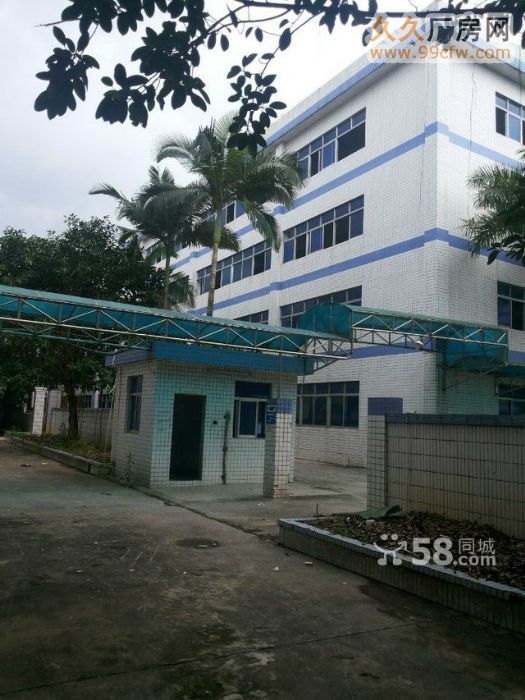 龙岗社区大型红本工业区26749平米出售