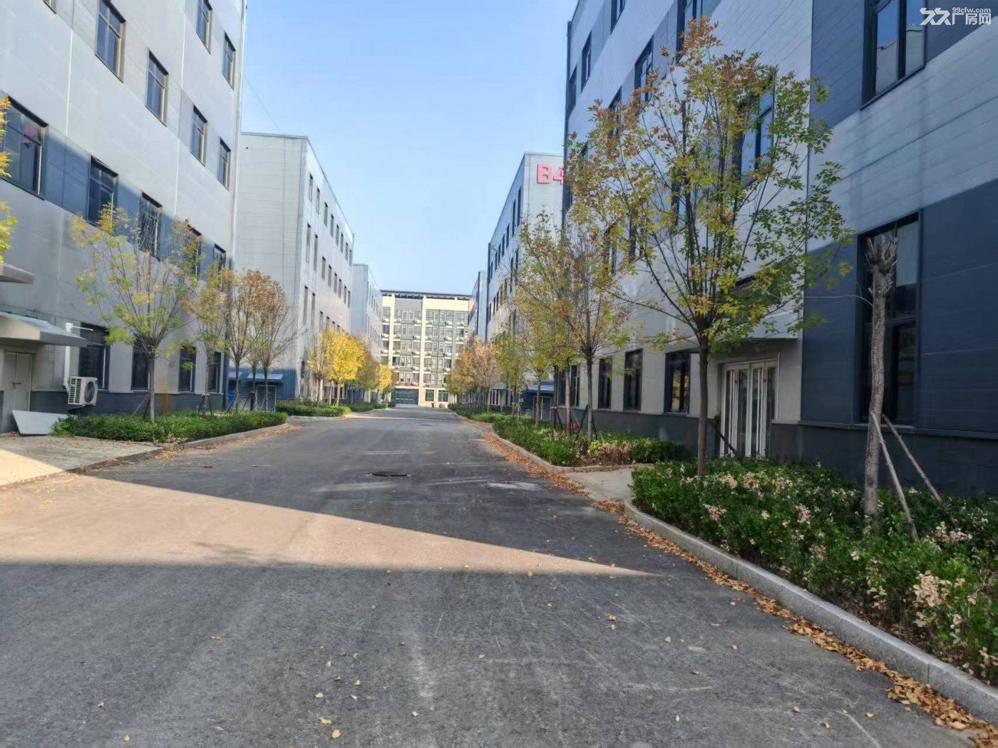 大跨度标准厂房仓库对外出租 - 2
