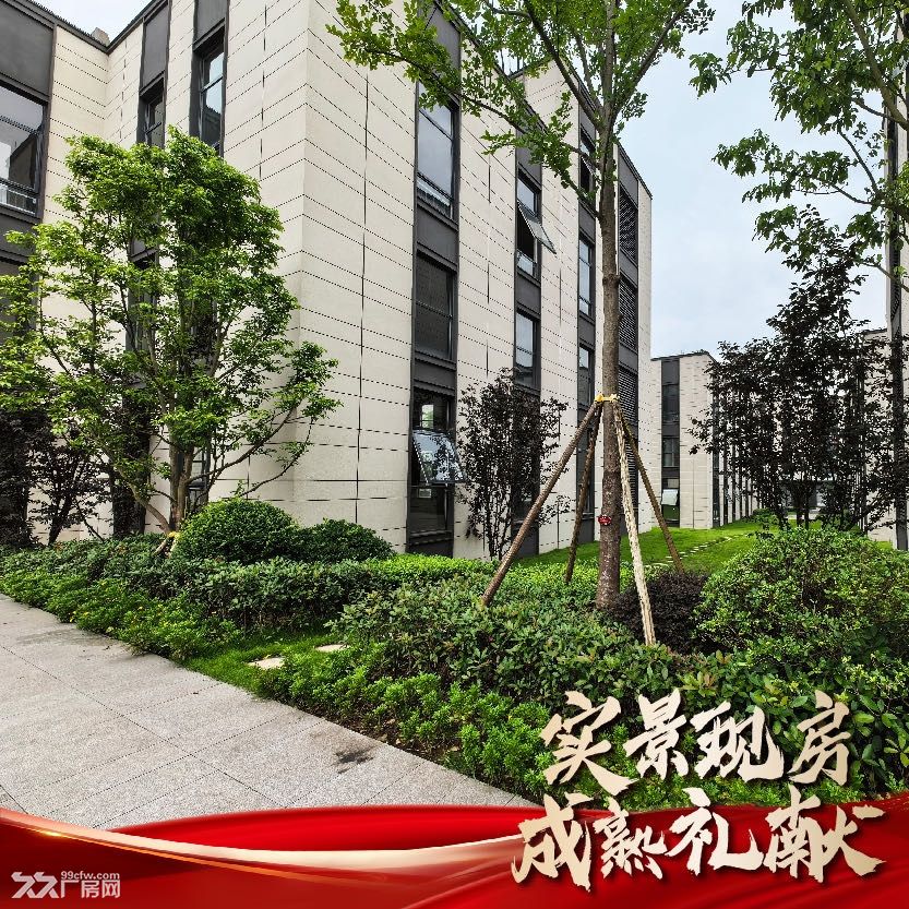 抄底巴南厂房啦！2K出头让您无忧 - 2