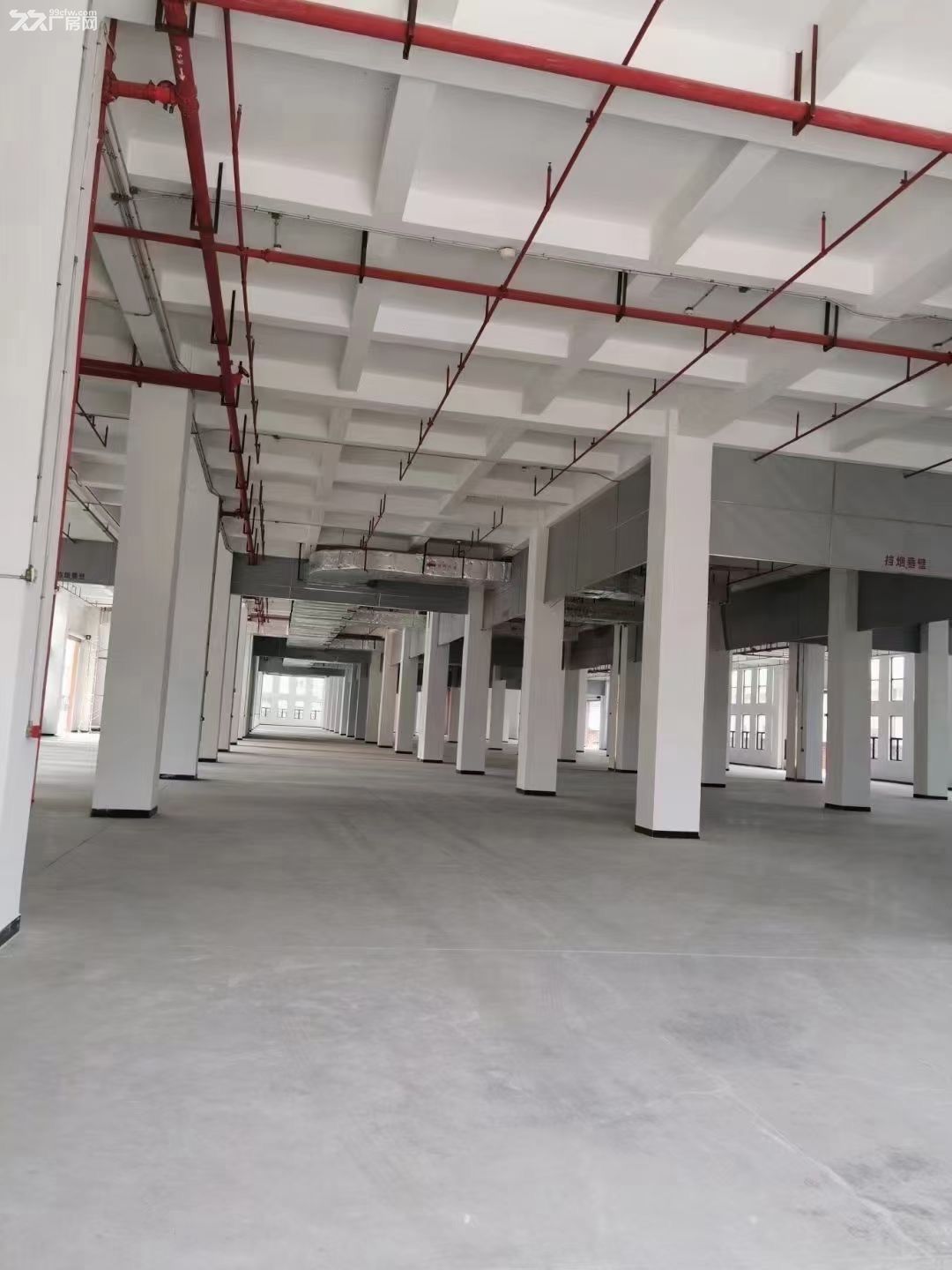 白云区竹料,标准厂房出售,可以分层出售,出房产证 - 4