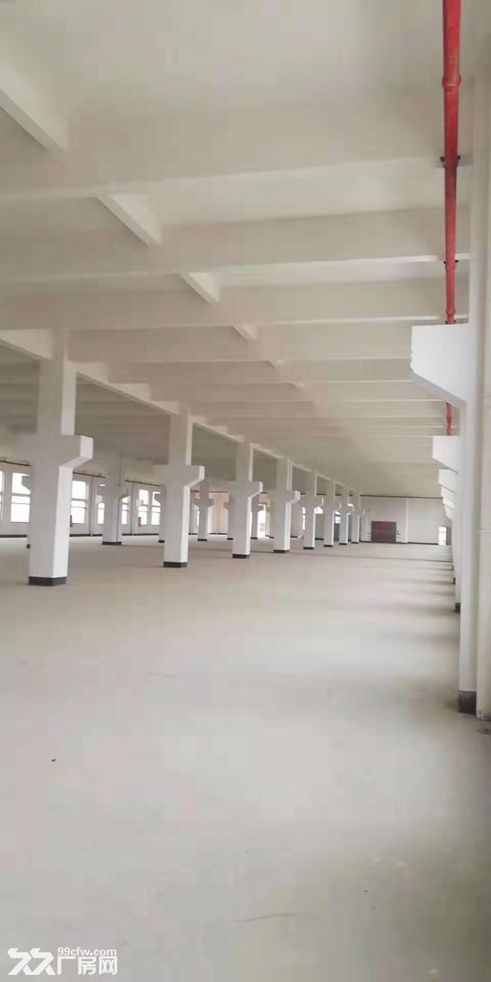 台山水步文华工业区独院一楼标准厂房1600平方出租 - 5