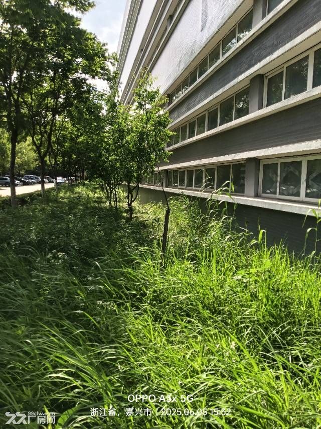 嘉兴科技城标准厂房出租,5000平看房方便一楼大车方便 - 2