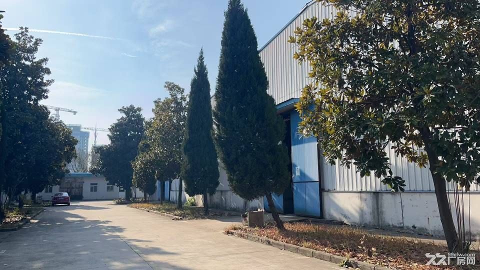 庐阳区钢结构厂房3600平可分租 - 6