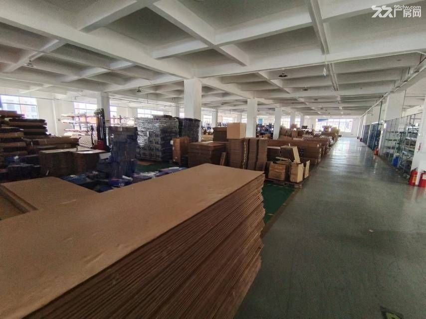 佛山南海区标准楼房独栋4000方出租 - 4