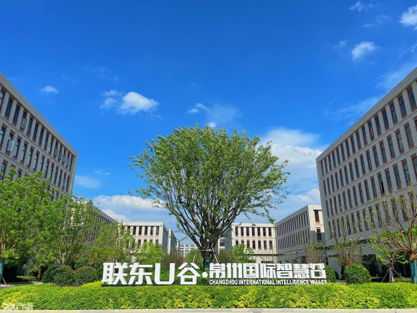 新北 环球港北站附近厂房 现房出租700-3000平 - 8
