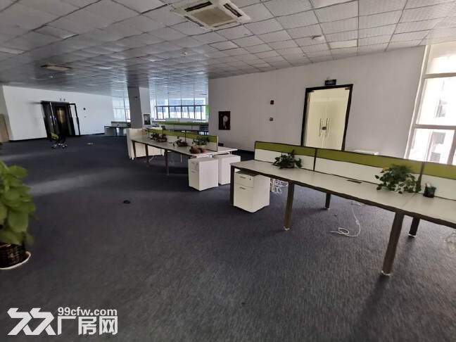 坪山坑梓独栋花园厂房5000平出租，可分租，近高速，带办公区 - 7