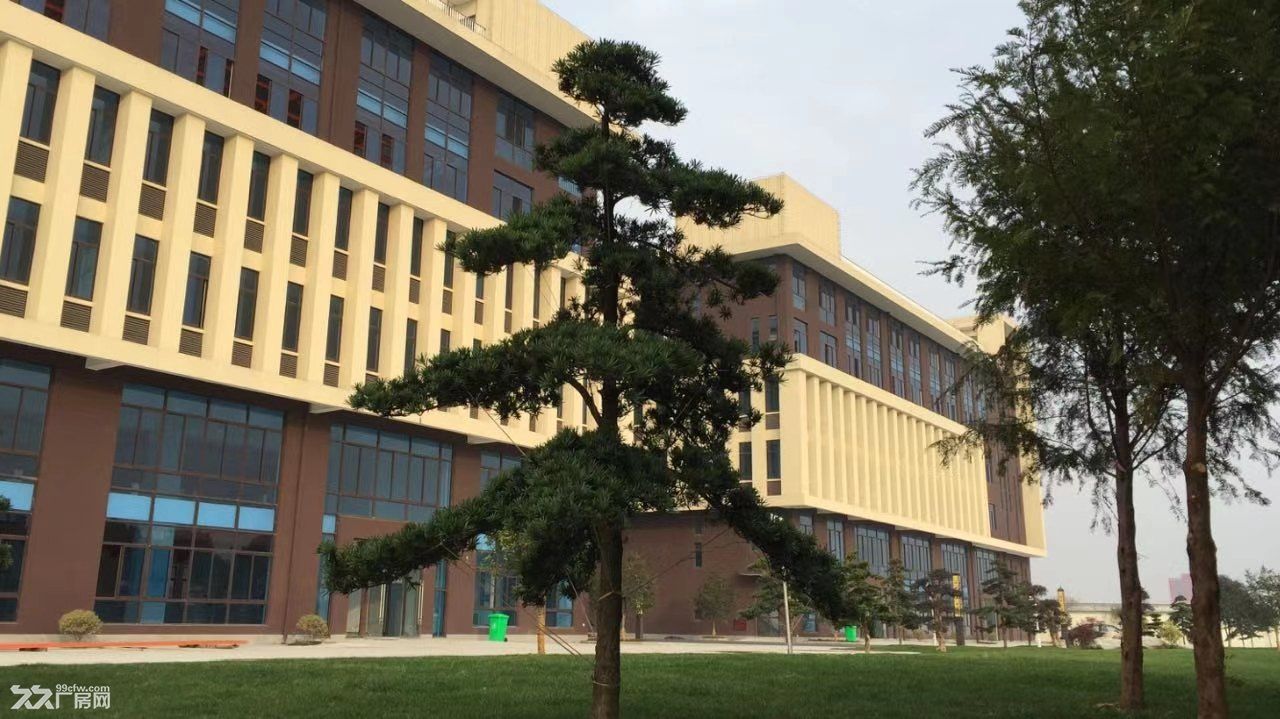 松江荣乐东路新建厂房一楼2200平 独栋5000平出租 - 4