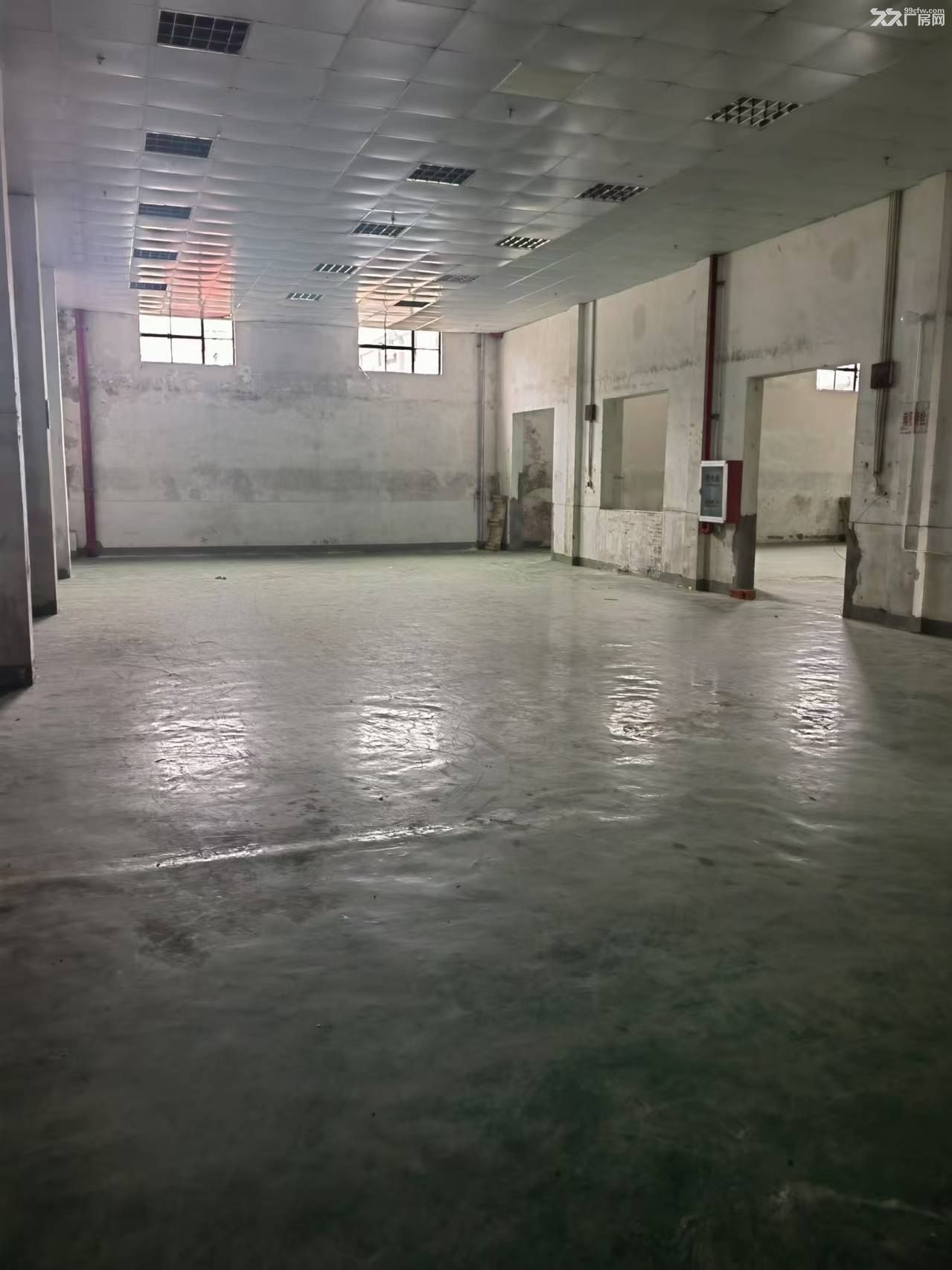 惠南790平厂房出租半挂车可进104板块可生产加工仓库配送废纸打包 - 4