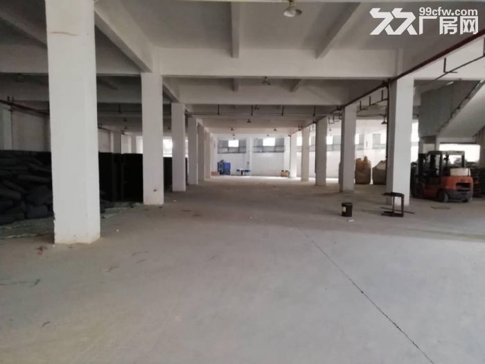 惠阳三和原房东红本工业园标准厂房一楼4175平,高6米,可办环评 - 4